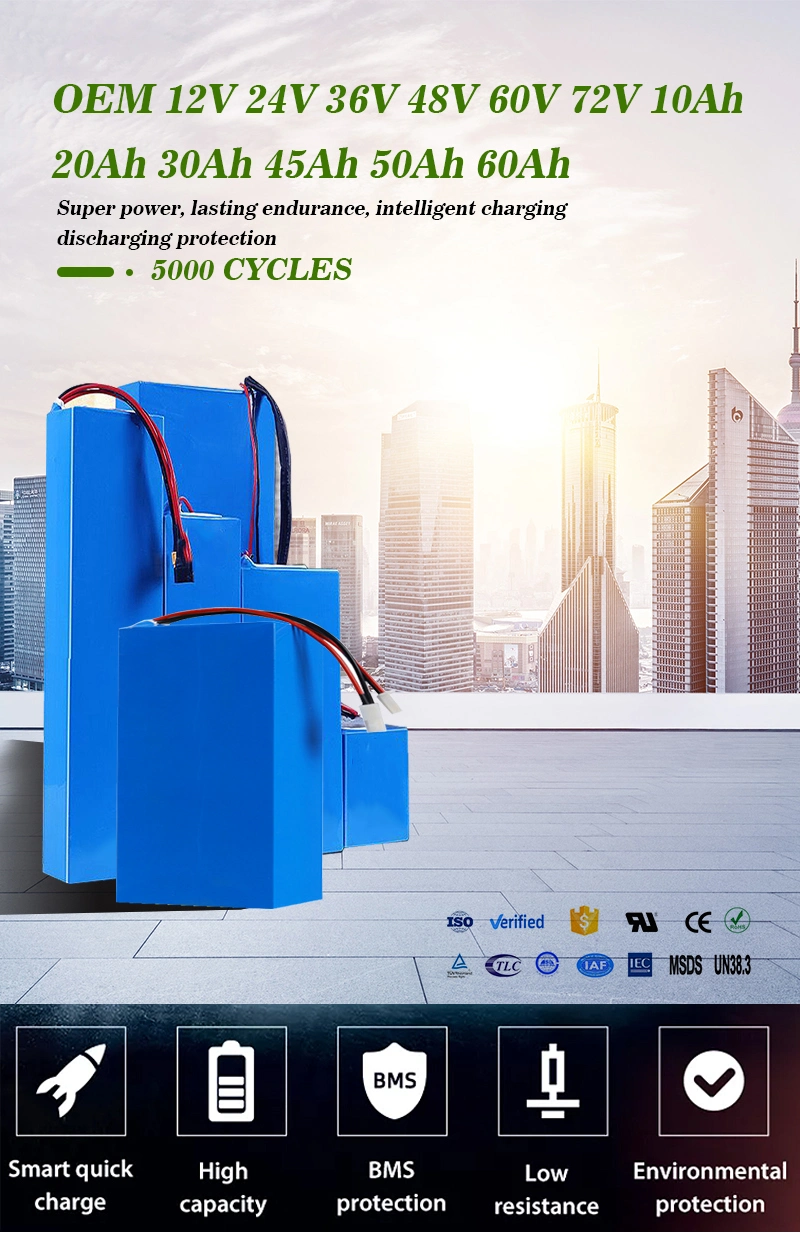 Cts 12V 24V Lithium Battery Pack for Electric Scooter 10ah 20ah LiFePO4 Battery