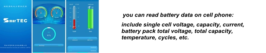 LiFePO4 Battery Pack 12V 24V 48V 50ah 100ah 200ah Deep Cycle Lithium Iron Phosphate Battery BMS Protect High Performance for Golf Cart EV RV