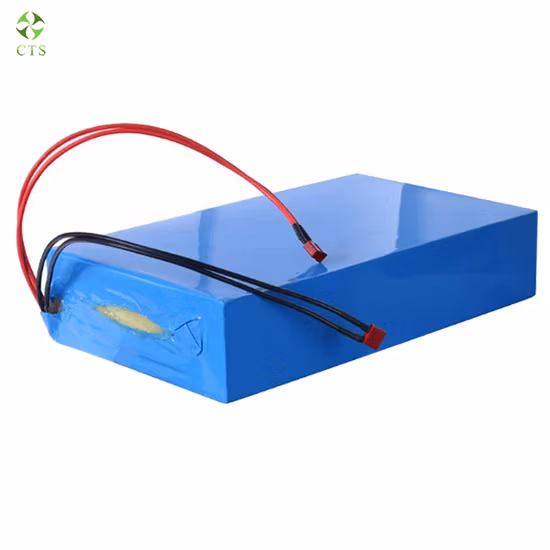 12V 24V 36V 48V 52V 10ah 20ah 12ah 60ah LiFePO4 Batería de iones de litio E-Bike / E-Scooter