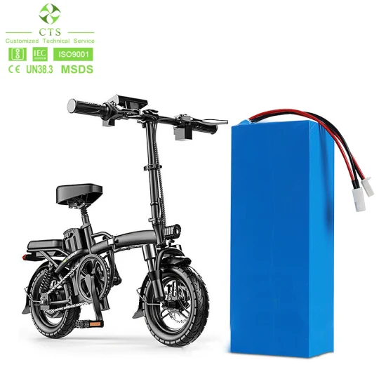 Batería de litio personalizada Cts 12V 24V 48V 60V 72V 20ah 30ah 40ah LiFePO4 Paquete de batería para scooter eléctrico