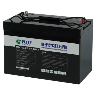 Elite High Capacity 24V 36V 48V 40ah Batería de iones de litio recargable portátil LiFePO4 Baterías de iones de litio para bicicleta eléctrica / Sistema de almacenamiento de energía solar