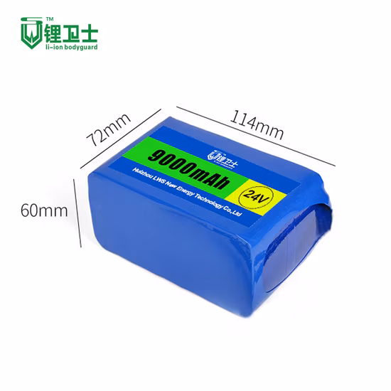 Lws 22V 24V 48V 72V 20ah LiFePO4 batería 12V batería de iones de litio