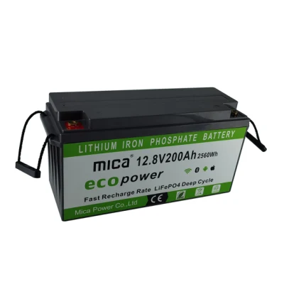 Factory12V Litio recargable 12V 12.8V 24V 25.6V 20ah 24ah 50ah 200ah LiFePO4 Batería para carrito de golf / Luz LED solar Solarspeicherbatterie